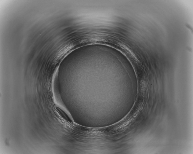 X0000094420785200711291548