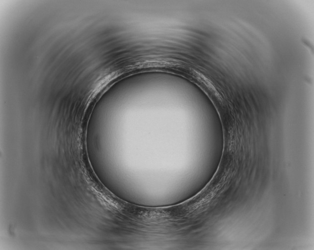 X0000094420786200711291548