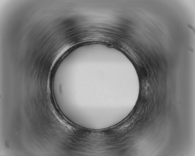 X0000094420788200711291548