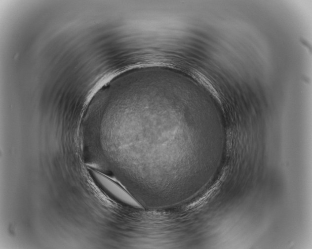 X0000094420789200711291548