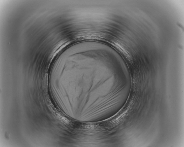 X0000094420790200711291548