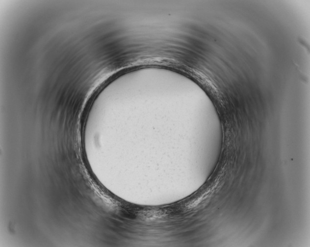 X0000094420792200711291548