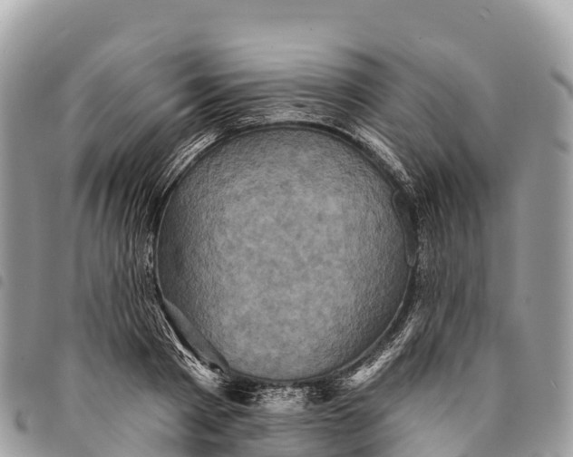 X0000094420793200711291548