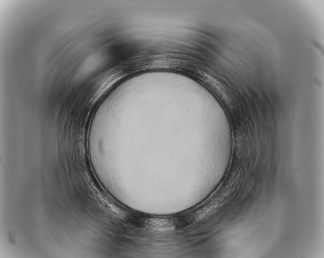 X0000094420794200711291548