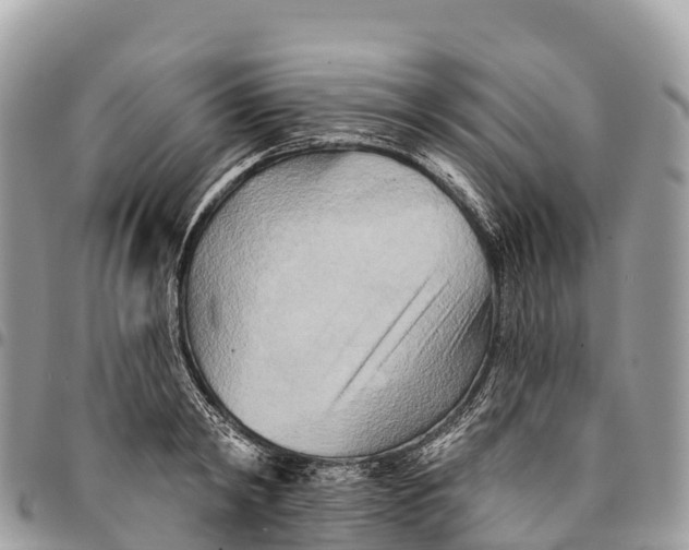 X0000094420798200711291548