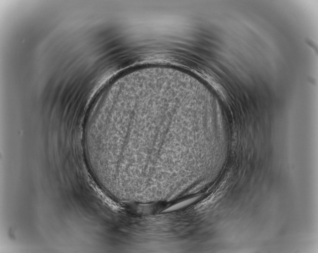 X0000094420799200711291548