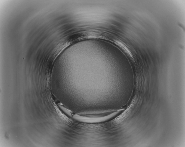 X0000094420801200711291548