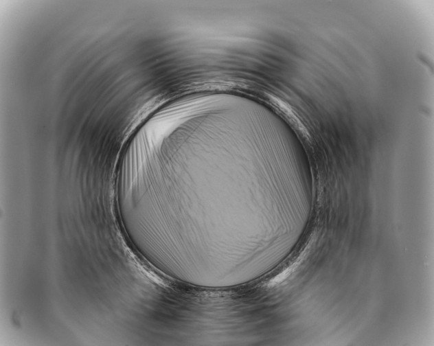 X0000094420802200711291548