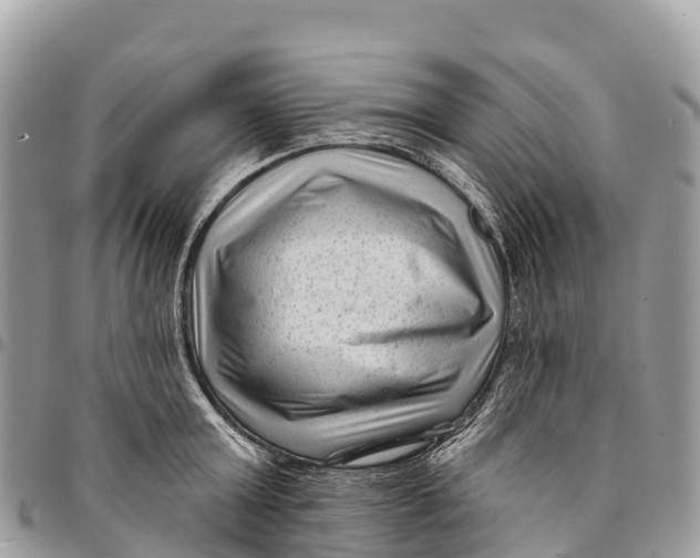 X0000094420803200711291548