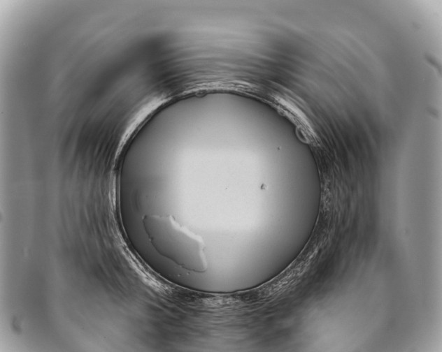 X0000094420804200711291548