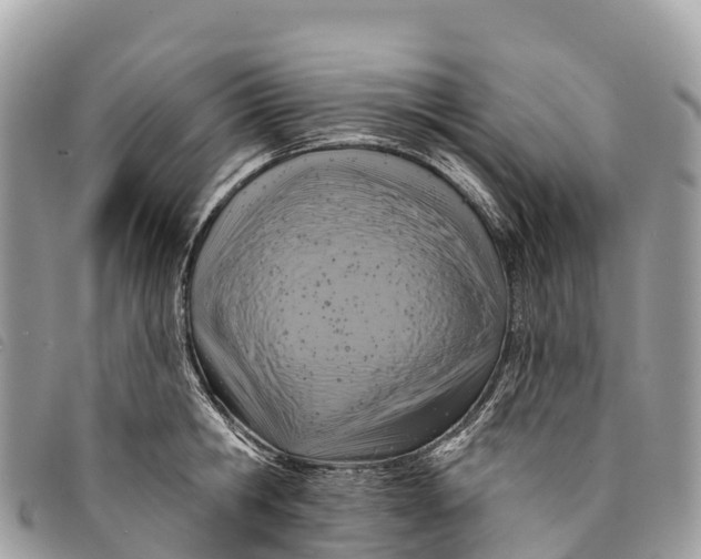 X0000094420806200711291548