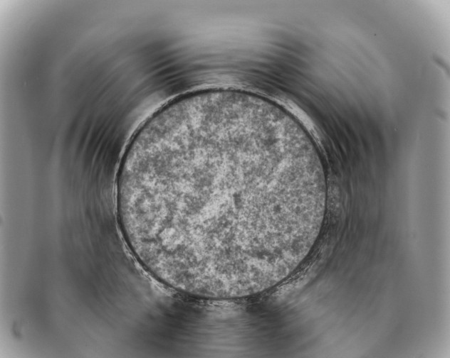 X0000094420807200711291548