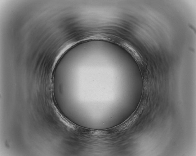 X0000094420808200711291548