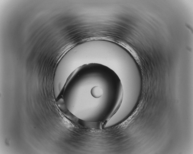 X0000094420809200711291548