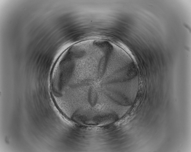 X0000094420811200711291548