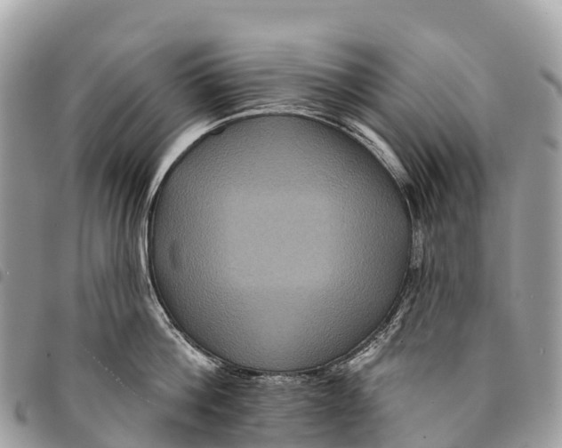 X0000094420812200711291548