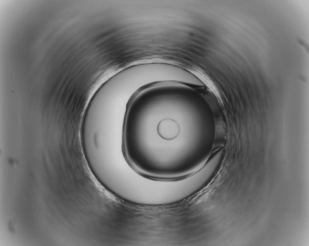 X0000094420813200711291548