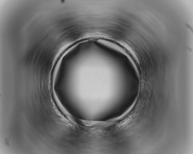 X0000094420815200711291548