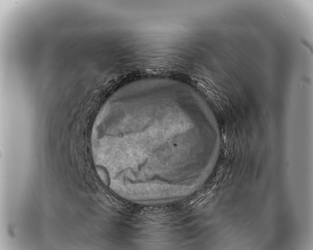 X0000094420817200711291547