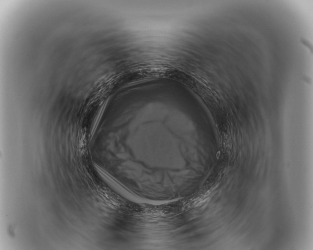 X0000094420818200711291547