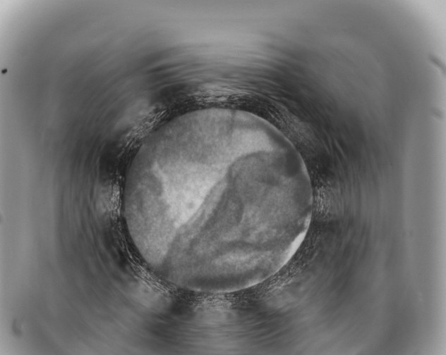 X0000094420820200711291547