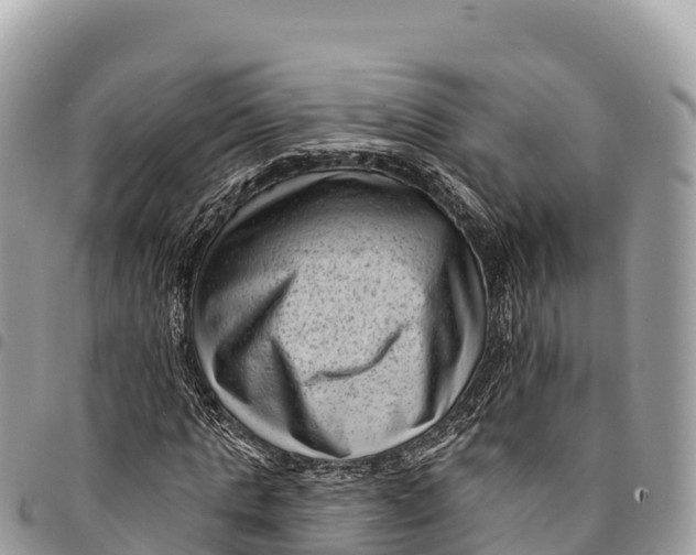 X0000094420821200711291547