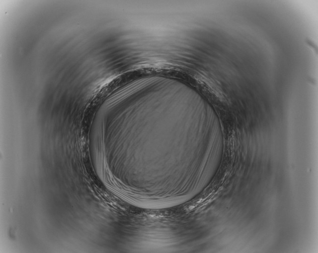 X0000094420822200711291547