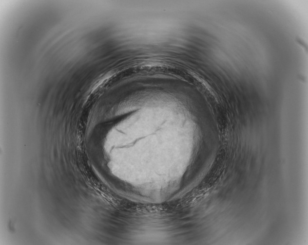 X0000094420823200711291547