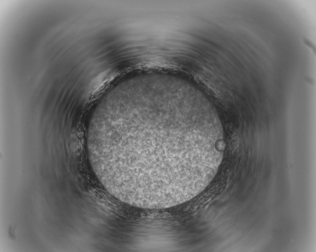 X0000094420824200711291547