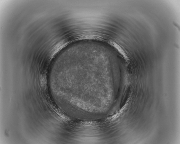 X0000094420826200711291547