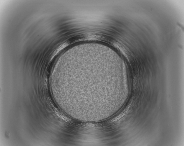 X0000094420827200711291547