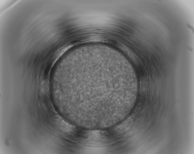 X0000094420828200711291547