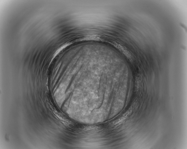 X0000094420830200711291547