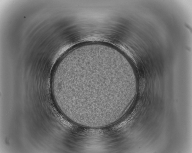 X0000094420831200711291547