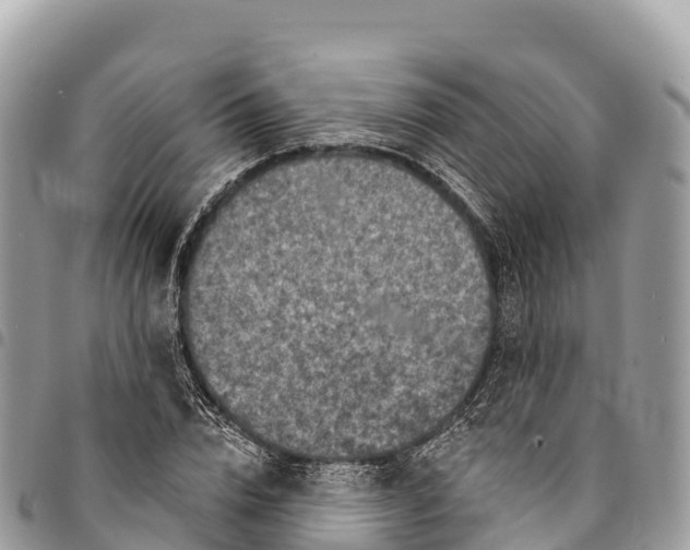 X0000094420832200711291547