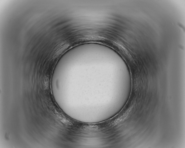 X0000094420833200711291547