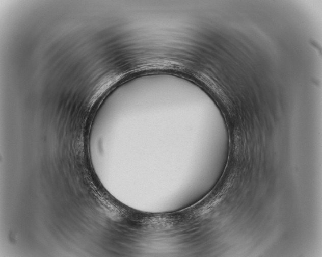 X0000094420834200711291548