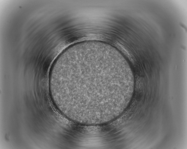 X0000094420836200711291548