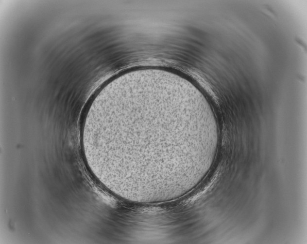 X0000094420837200711291548