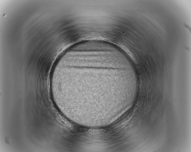 X0000094420840200711291548