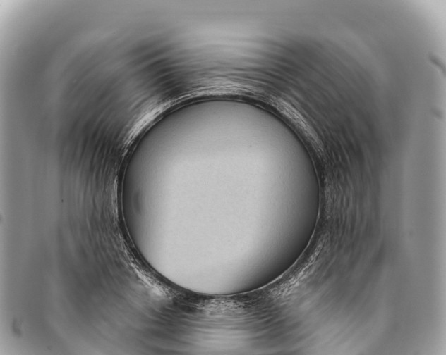 X0000094420842200711291548