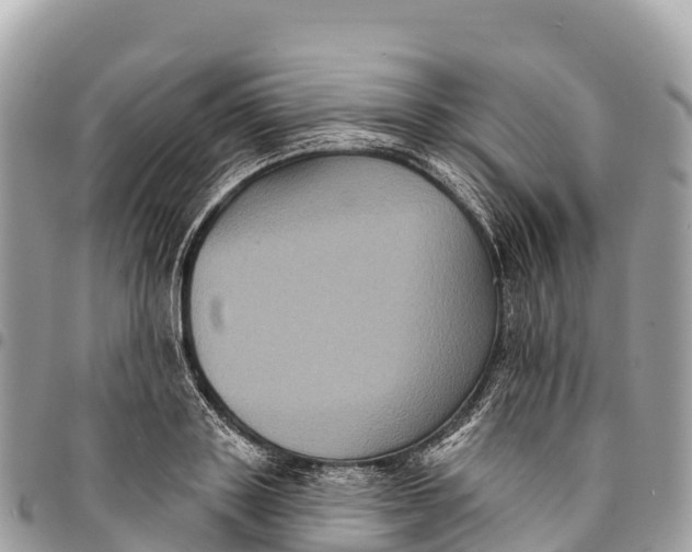 X0000094420843200711291548