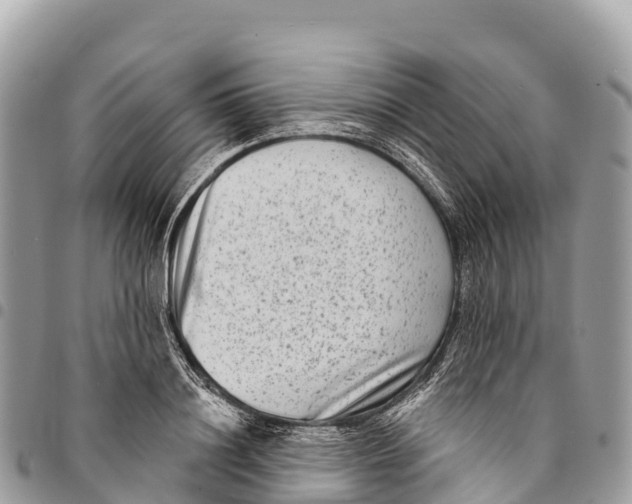 X0000094420844200711291548