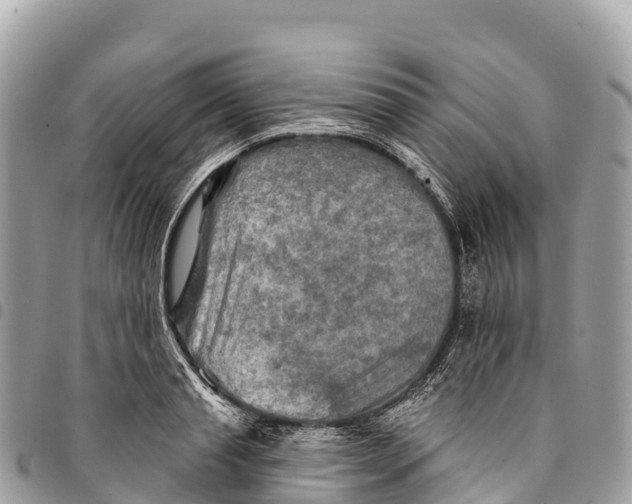 X0000094420845200711291548