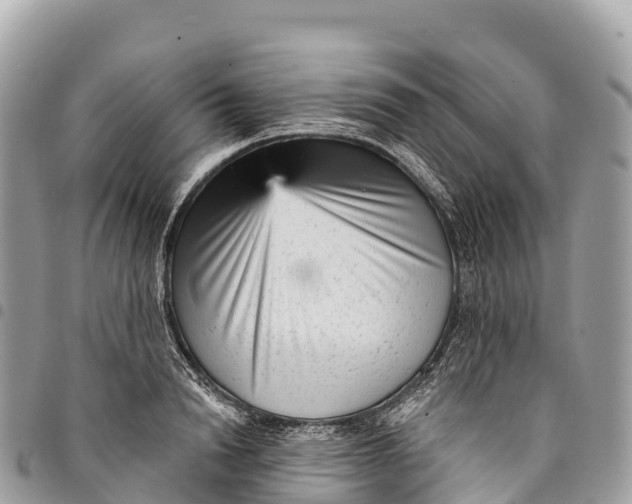 X0000094420846200711291548