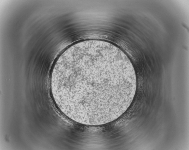 X0000094420848200711291548