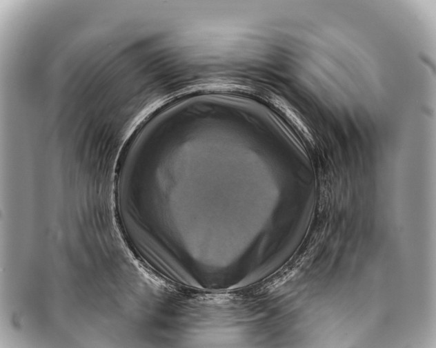 X0000094420853200711291548