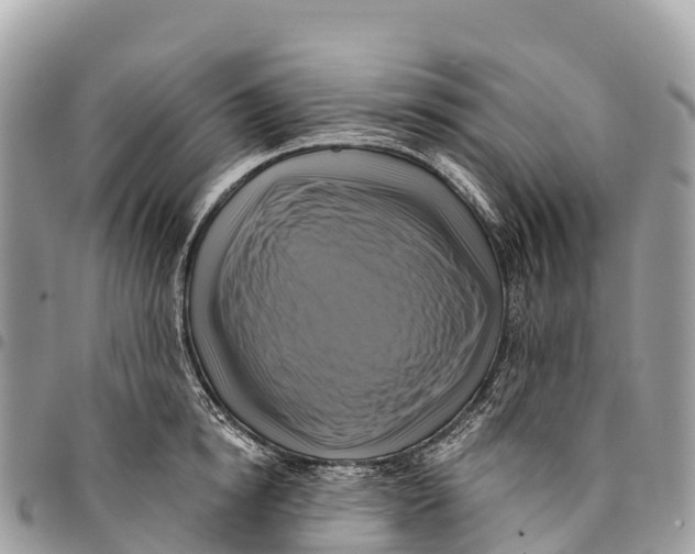 X0000094420854200711291548