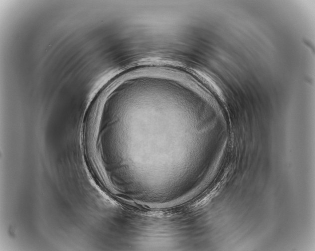 X0000094420855200711291548