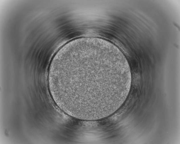 X0000094420856200711291548